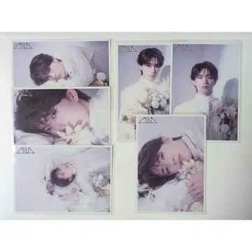M!LK 야마나카 쥬타로 생탄 2023 22세 브로마이드 6매 세트