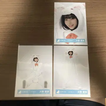 오오시마 마나미 동물 인형옷 세미 컴프