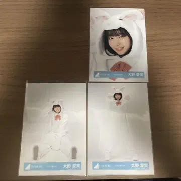 오노 마나미 동물 인형옷 세미 컴프