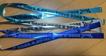 CRFES2025 은색 테이프 풀 사이즈 3종 세트