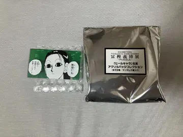 [ 이르미 ] 토가시전 명언 아크릴 배지 컬렉션