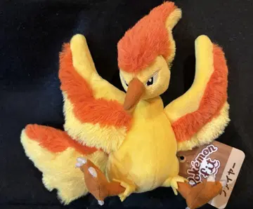 Pokemon fit 파이어 봉제인형