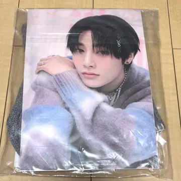 [포스터 포함] straykids 팬미팅 공식 비니 니트 모자 아이엔