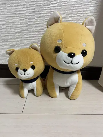 마메견 봉제 인형 2세트