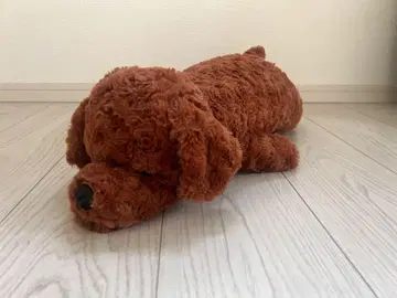 Francfranc 토이 푸들 봉제 인형