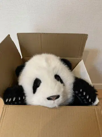 팬더 봉제 인형 초리얼 팬더 화화 봉제 인형