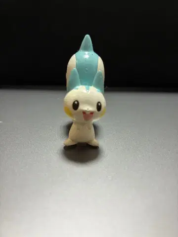 파치리스 몬코레