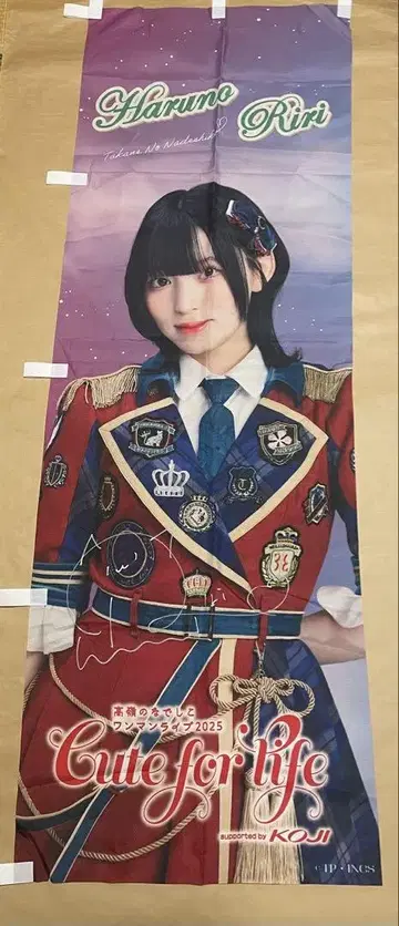 타카네노 나데시코 하루노 리리 태피스트리 사인 포함