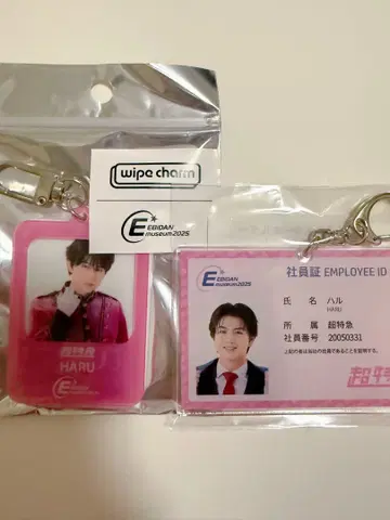 EBiDAN 뮤지엄 2025 하루 사원증풍 키링 참