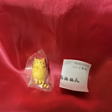 화난 고양이야아아앙 배꼽으로 화내고 있는 고양이 얼룩 고양이
