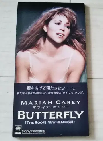 MARIAH CAREY 머라이어 캐리 BUTTERFLY 8cm CD