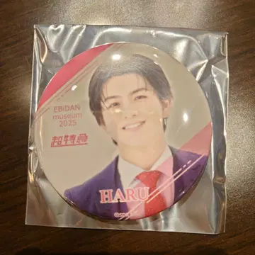 EBiDAN museum 캔뱃지 초특급 하루