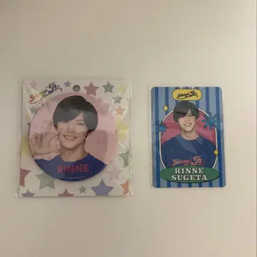 스게타 린네 캔배지 프로필 카드 세트