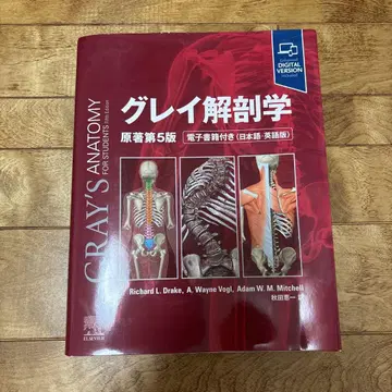 그레이 해부학 원저 제5판