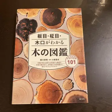 나뭇결, 마사메, 나이테를 알 수 있는 나무 도감