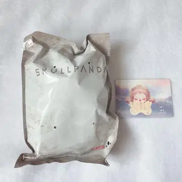 SKULLPANDA 스컬판다 Teakwood 봉제 인형 펜던트