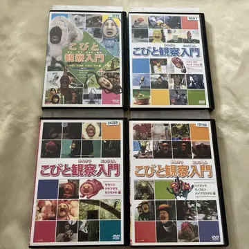 코비토 관찰 입문 DVD 4장 세트 렌탈