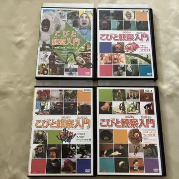 코비토 관찰 입문 DVD 4장 세트 렌탈