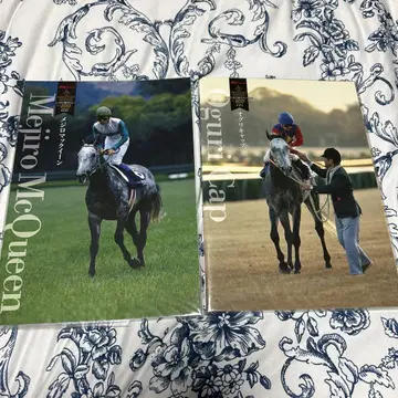 Gallop Selection 주간 100명마