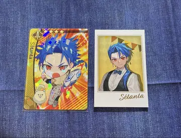 fgo 세탄타
