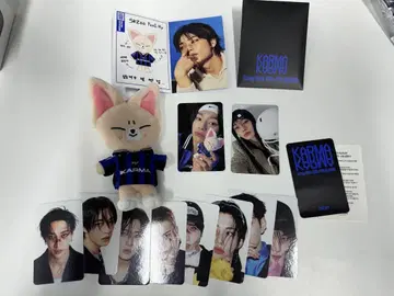 스키즈 KARMA SKZOO 아이엔 키링