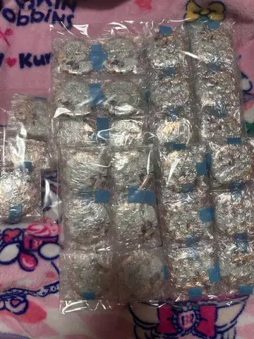 니콜라이 고골리 계절의 발걸음