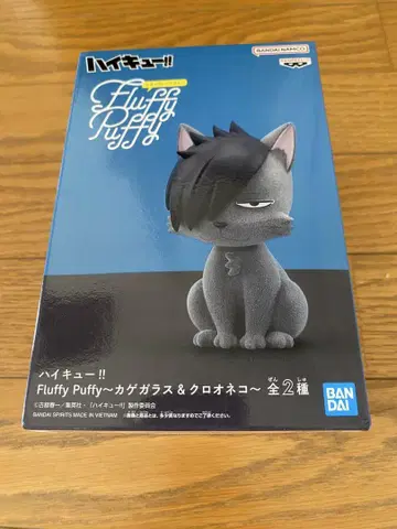 하이큐!! Fluffy Puffy 쿠로오네코