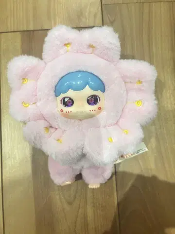 baby three 사쿠라