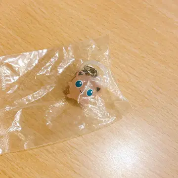 포켓몬 메지루시 액세서리 가챠 캡슐 토이 포켓몬 센터 푸린