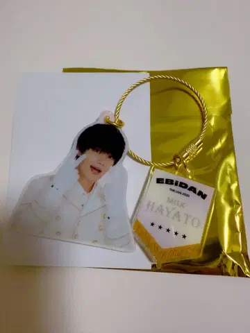 EBiDAN THE LIVE 2025 랜덤 아크릴 키링 사노 하야토