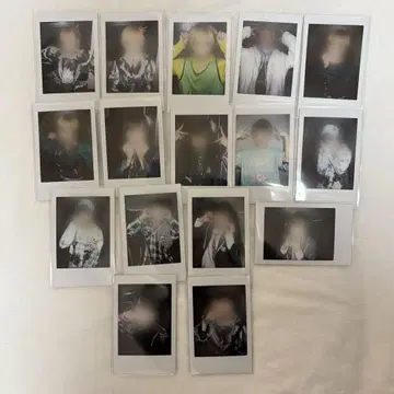 러브식 료 16매 세트