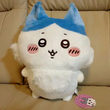 치이카와 (먼작귀) 패러렐 월드!? BIG 봉제 인형 하치와레