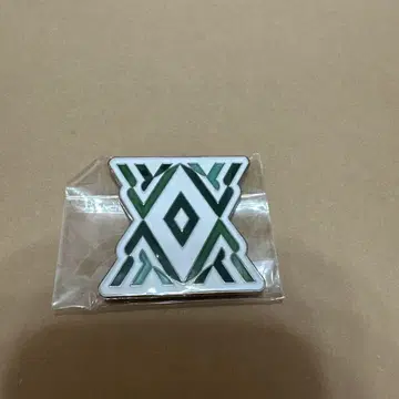 엑스포 사우디아라비아 핀 배지