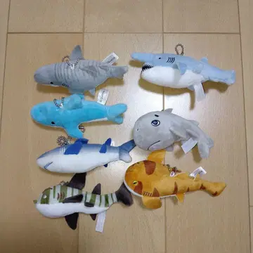 퀄리아 상어 봉제 인형 닛코리노 상어 봉제 인형