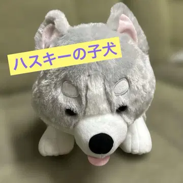허스키 강아지 봉제 인형 XL 프리미엄 택 포함 새상품