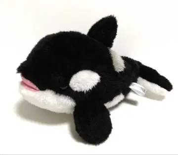 카모가와 씨월드 범고래 봉제 인형 해양 생물