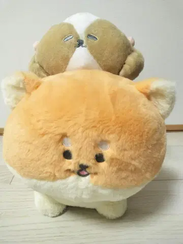 안녕하세요 강아지입니다. 시바견, 시츄 봉제 인형 2점 세트