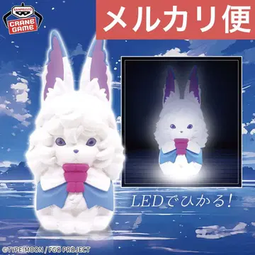 Fate/Grand Order 포우 룸 라이트