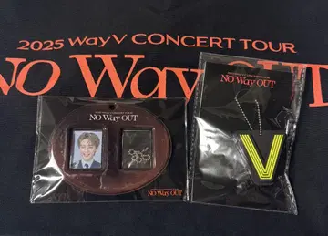 웨이션V wayv 업그레이드 굿즈