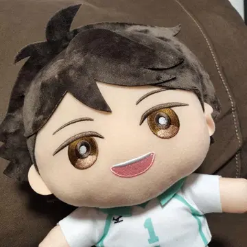 오이카와 하이큐 미니 코레 빅 봉제인형