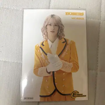 BUDDiiS 브로마이드 EBiDANmuseum2025 입장 혜택 모리