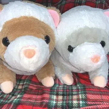 롱 페렛 울트라 BIG