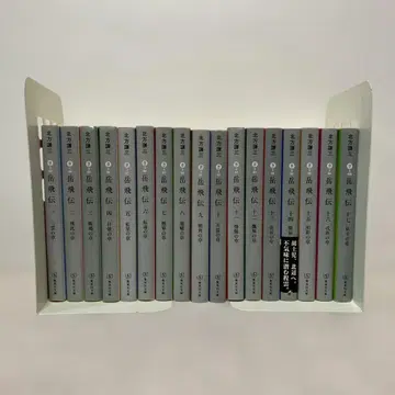 악비전 문고판 전권 세트