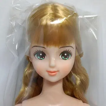 미라이 오타노시미 인형 리카짱 캐슬 27cm