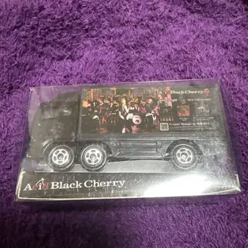 Acid Black Cherry 트랙형 미니카