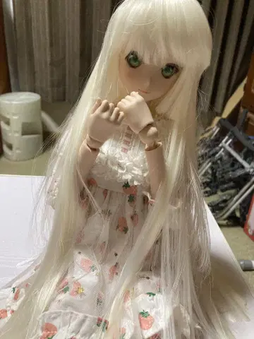 돌피드림 보크스 카린