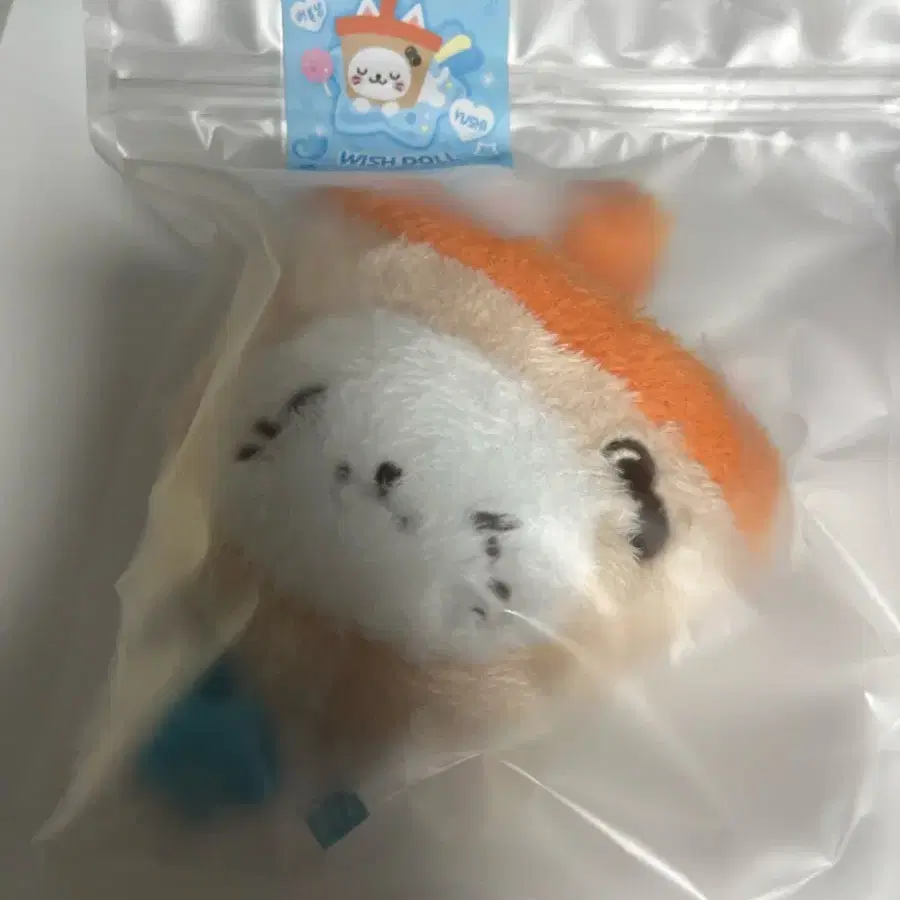 NCT WISH ポップアップ doll ユウシ バブルニャン シークレット 黒 NCT