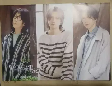 WANDS 뉴스레터