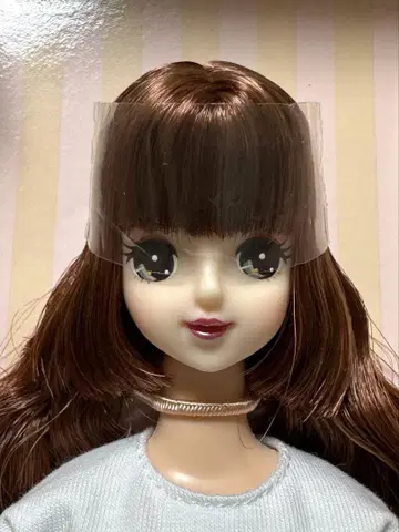 리카 캐슬 2021년 고베 산노미야 BASIC 모델 마리 V2