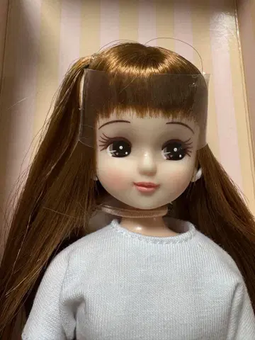 리카짱 캐슬 2025년 8월 리카짱&프렌즈 클럽 25 리카짱